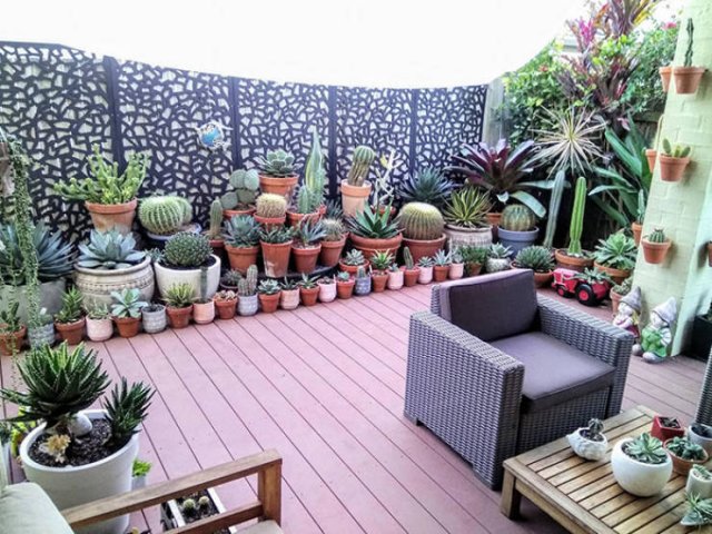 People Show Off Their Gardens And Plants (48 pics)