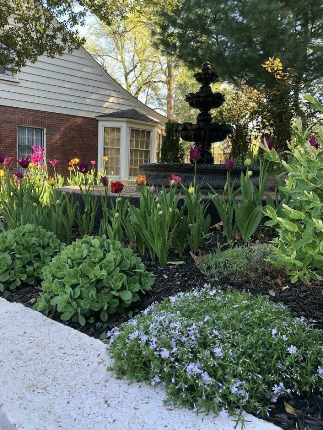 People Show Off Their Gardens And Plants (48 pics)