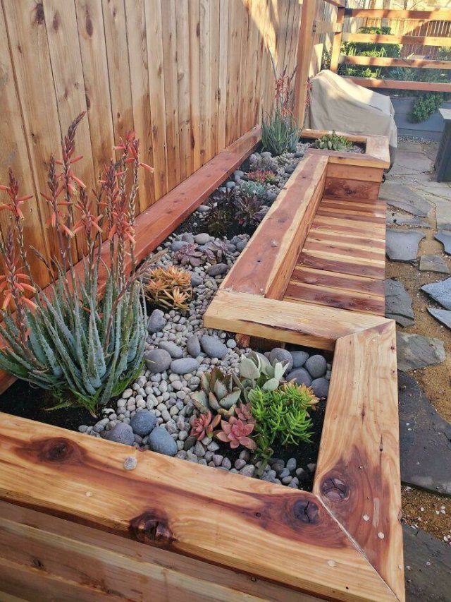 People Show Off Their Gardens And Plants (48 pics)