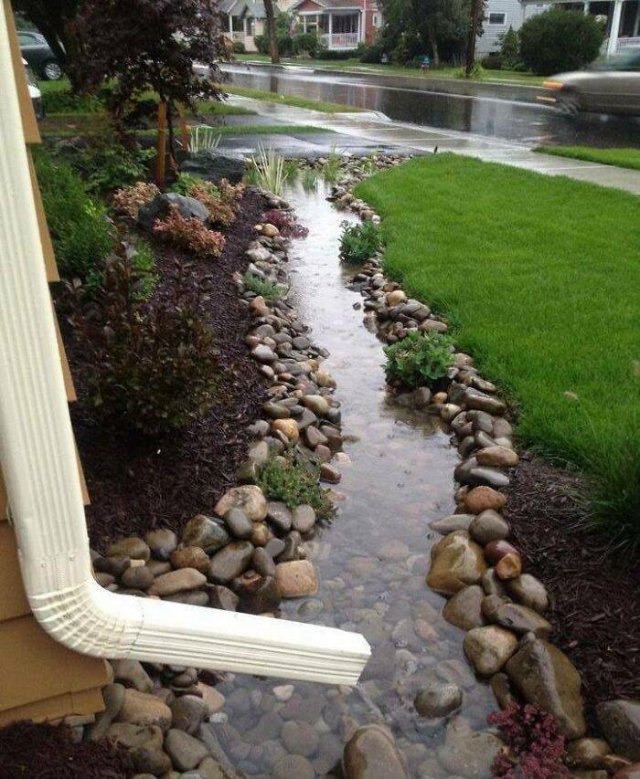 People Show Off Their Gardens And Plants (48 pics)