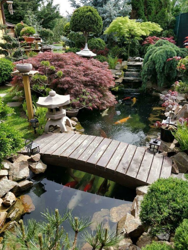 People Show Off Their Gardens And Plants (48 pics)