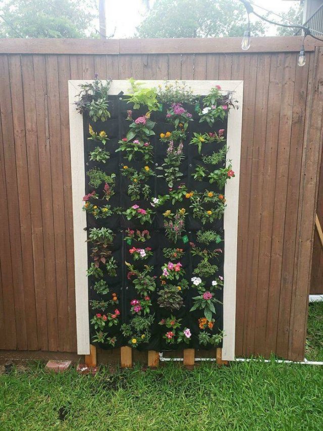 People Show Off Their Gardens And Plants (48 pics)