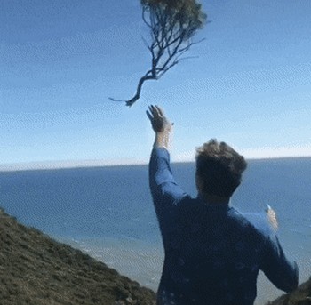 Acid Gifdump, May 5 (25 gifs)