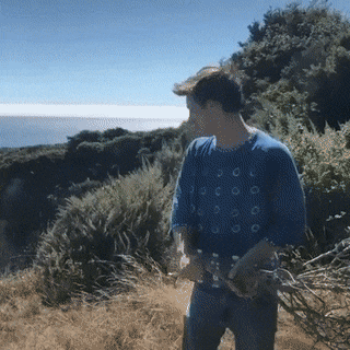Acid Gifdump, May 5 (25 gifs)