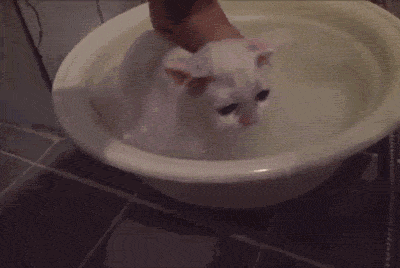 Acid Gifdump, May 5 (25 gifs)