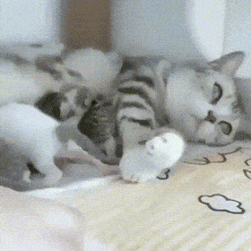 Acid Gifdump, May 5 (25 gifs)