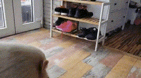 Acid Gifdump, May 5 (25 gifs)