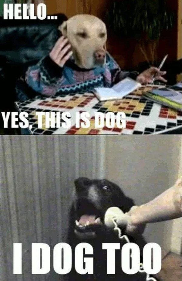 Random Funny Memes (27 pics)