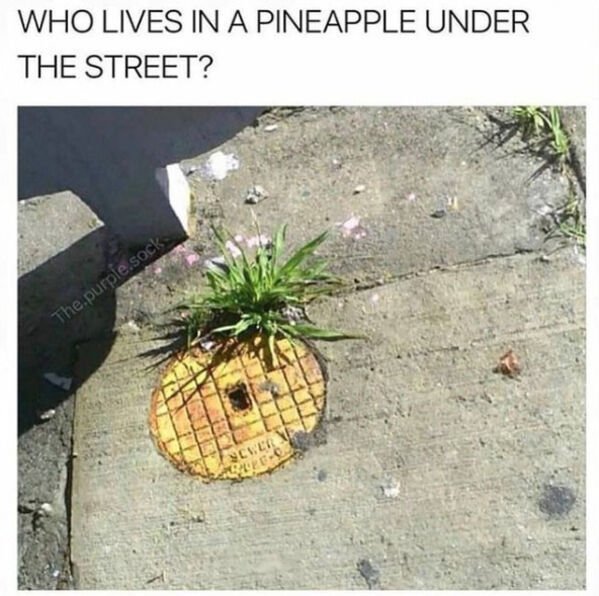 Random Funny Memes (27 pics)