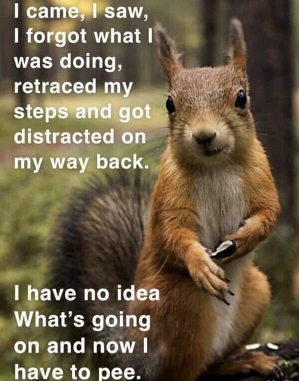 Random Funny Memes (27 pics)