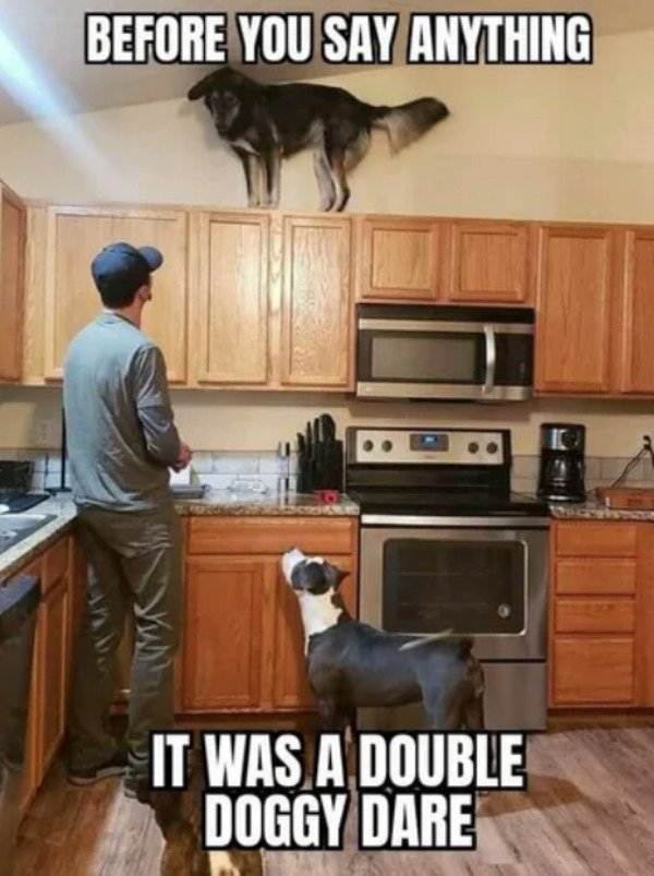 Random Funny Memes (27 pics)