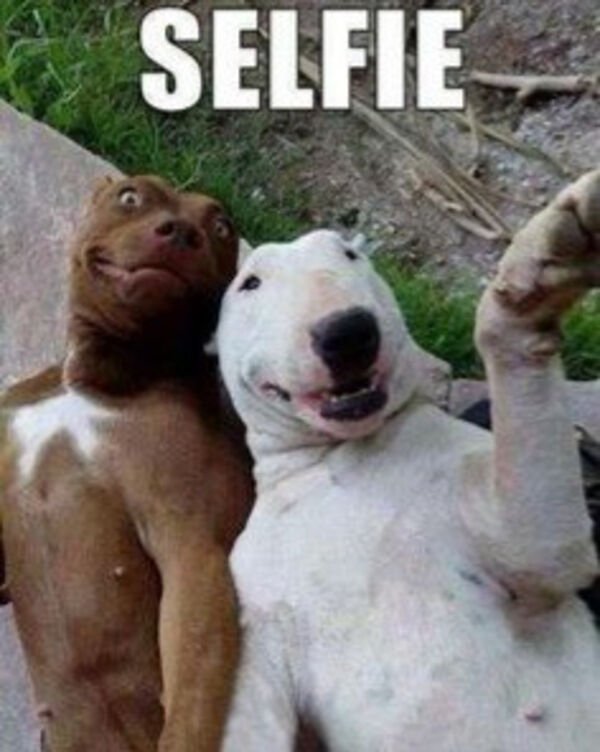 Random Funny Memes (27 pics)