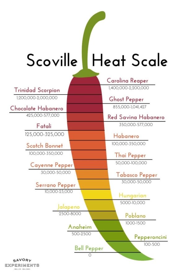 Interesting Data (27 pics)