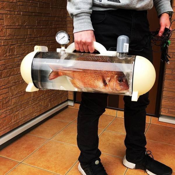 Acid Picdump 1 (86 pics)