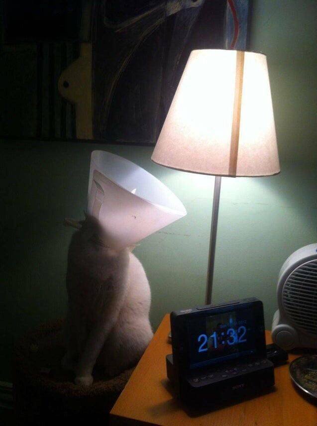 Acid Picdump 1 (86 pics)