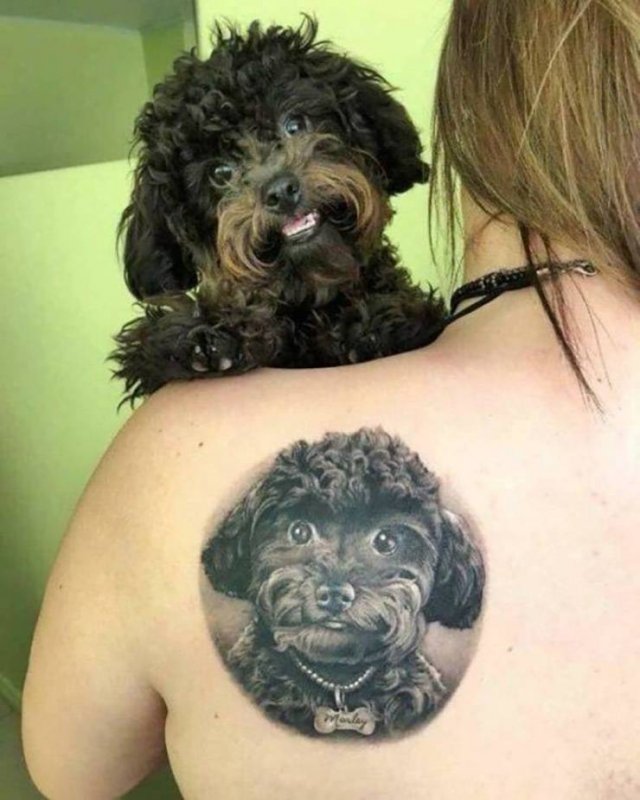 Acid Picdump 1 (86 pics)