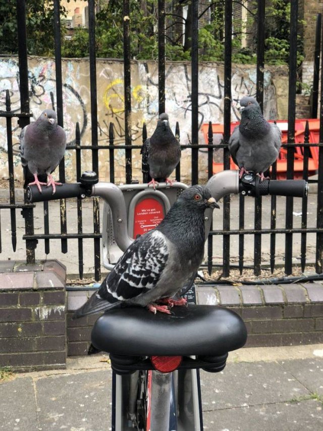 Acid Picdump 1 (86 pics)