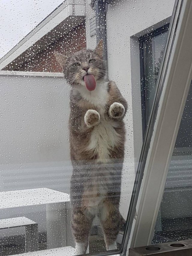 Acid Picdump 1 (86 pics)
