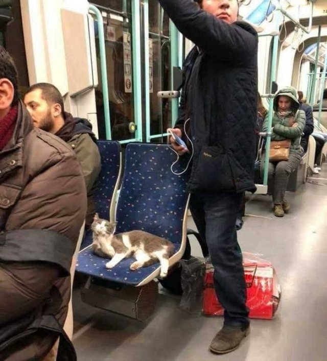 Acid Picdump 1 (86 pics)