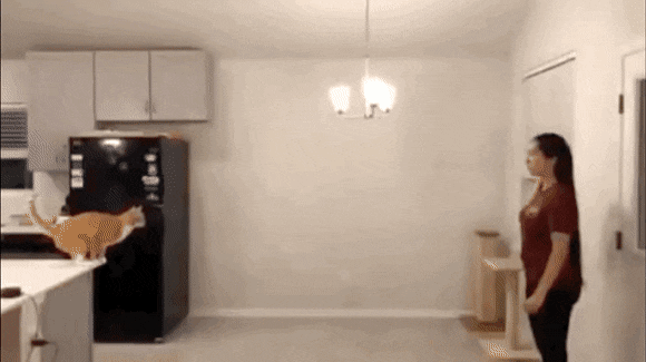 Acid Gifdump, May 6 (25 gifs)