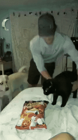 Acid Gifdump, May 6 (25 gifs)