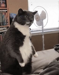 Acid Gifdump, May 6 (25 gifs)