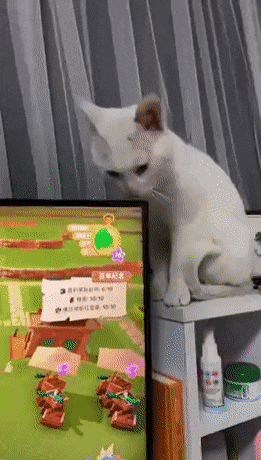 Acid Gifdump, May 6 (25 gifs)