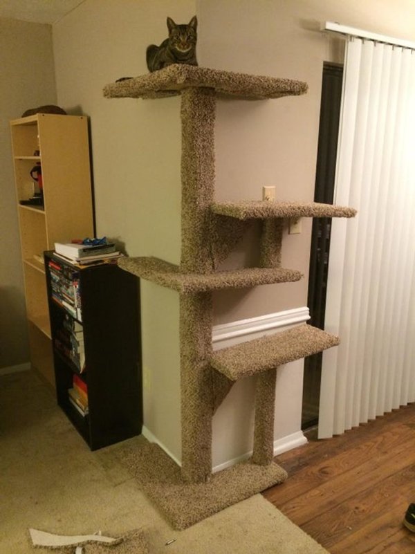 Amazing DIY Projects (20 pics)