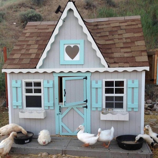 Unusual Chicken Coops (30 pics)