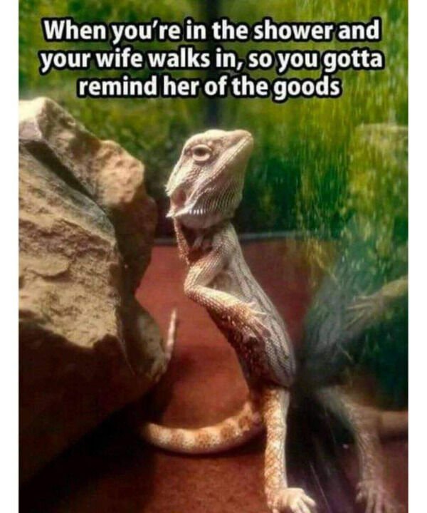 So True And So Sad (34 pics)