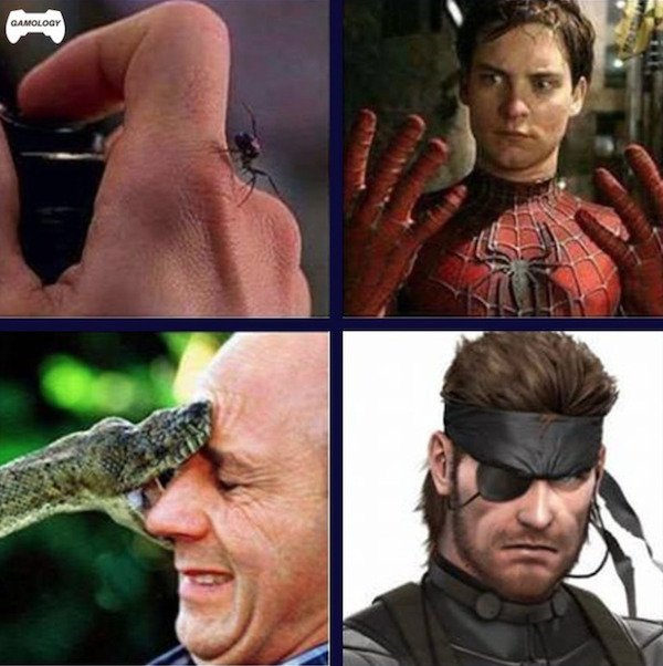 Pictures For Gamers (36 pics)