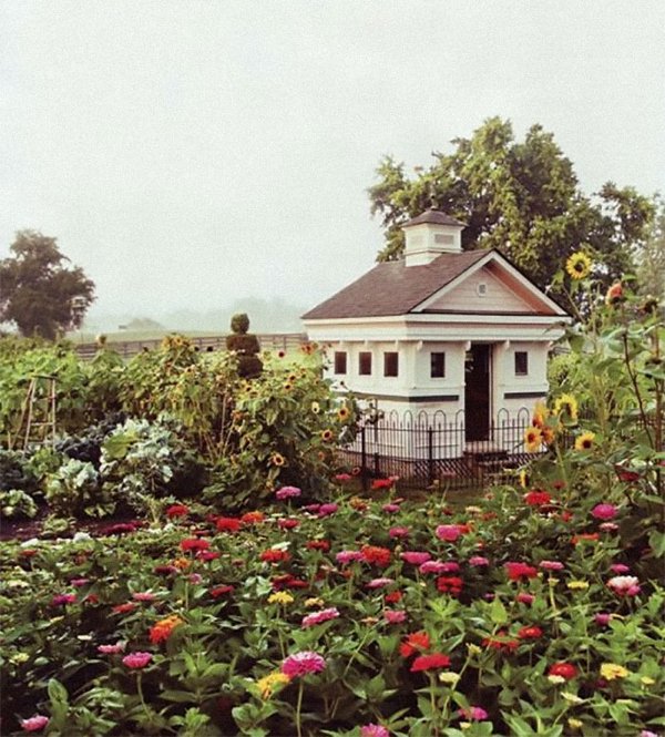 Unusual Chicken Coops (30 pics)