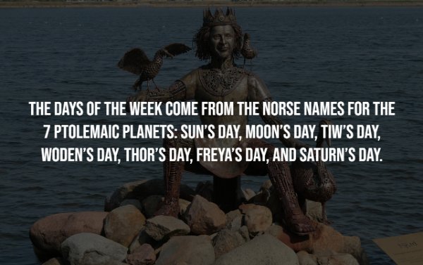 Interesting Facts (25 pics)
