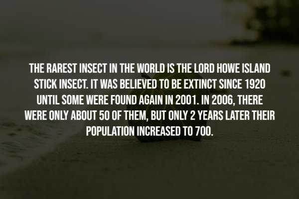Interesting Facts (25 pics)