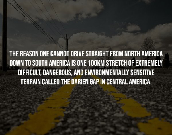Interesting Facts (25 pics)