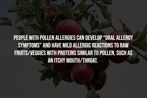 Interesting Facts (25 pics)