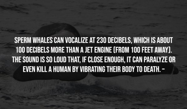 Interesting Facts (25 pics)