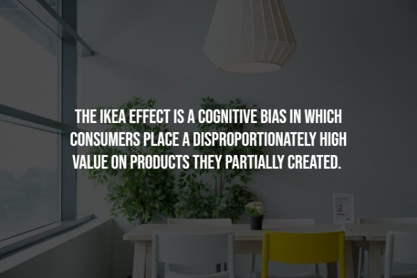 Interesting Facts (25 pics)