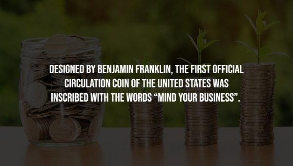 Interesting Facts (25 pics)
