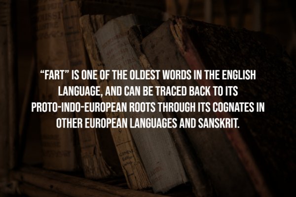 Interesting Facts (25 pics)