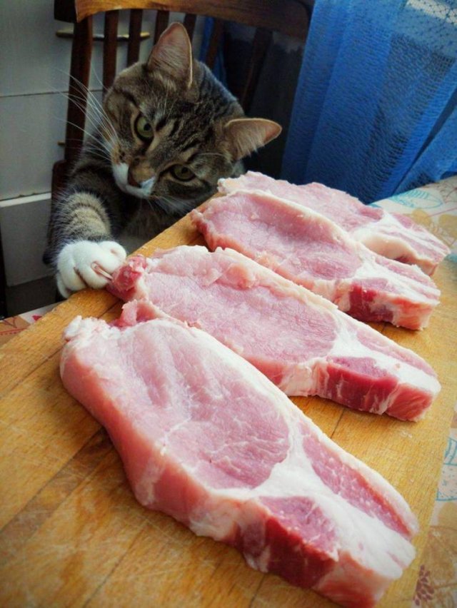 Acid Picdump 2 (92 pics)