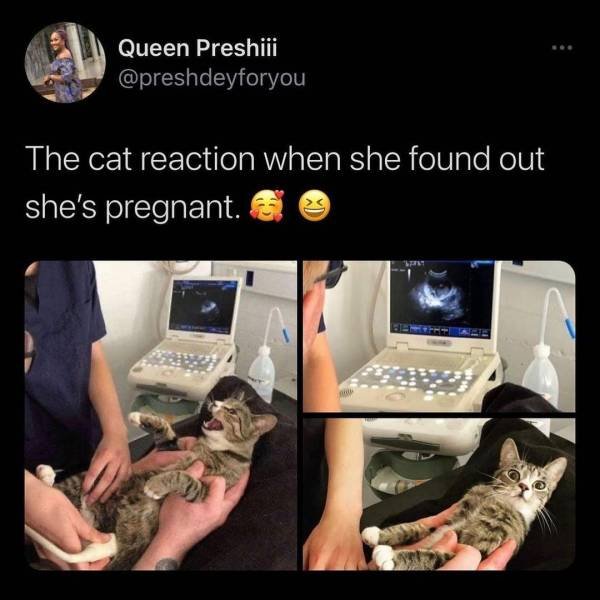 Acid Picdump 2 (92 pics)