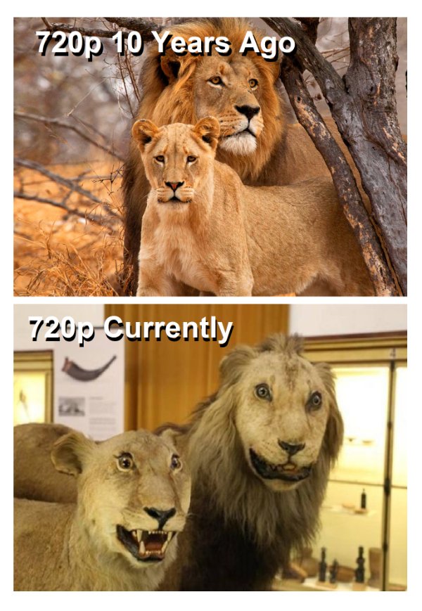 Random Funny Memes (26 pics)