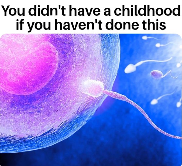 Random Funny Memes (26 pics)