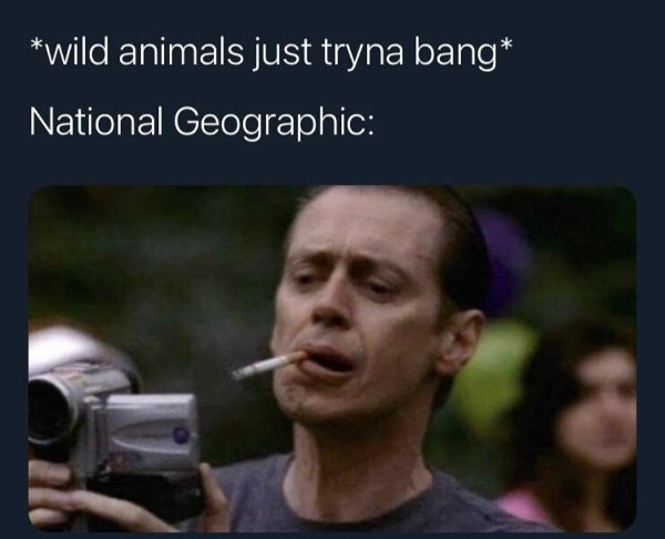 Random Funny Memes (24 pics)