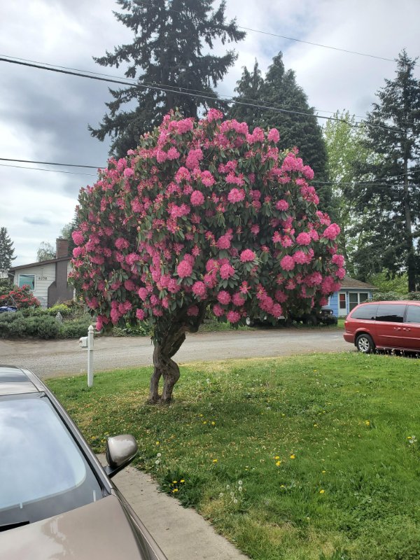 Awesome Things (26 pics)