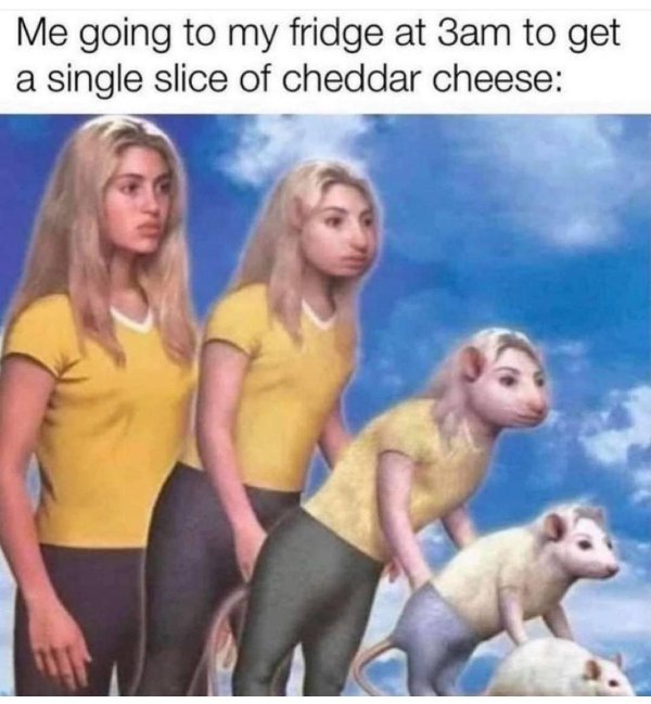 Random Funny Memes (24 pics)