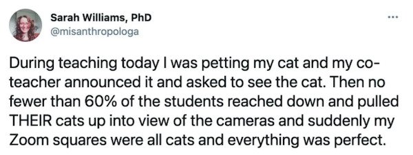 Teachers Memes And Tweets (40 pics)