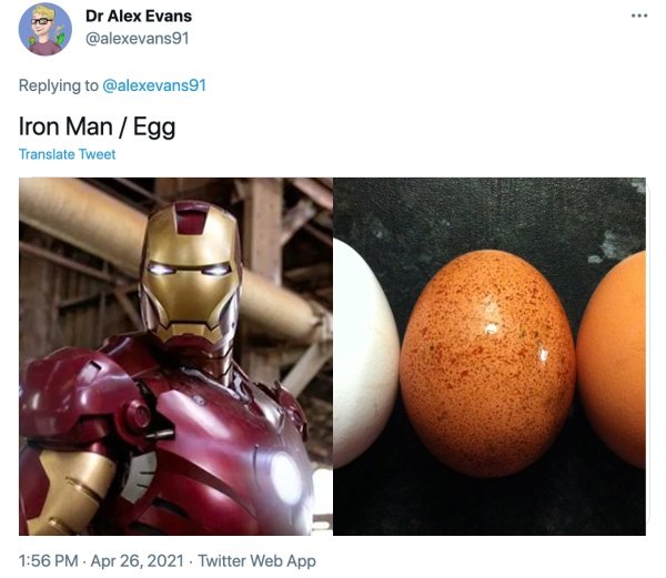 MCU Heroes And Their Bird Counterparts (19 pics)