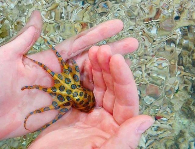Amazing Pictures (36 pics)
